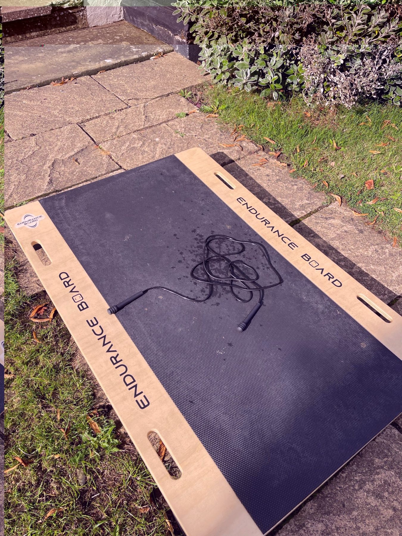 Endurance Board