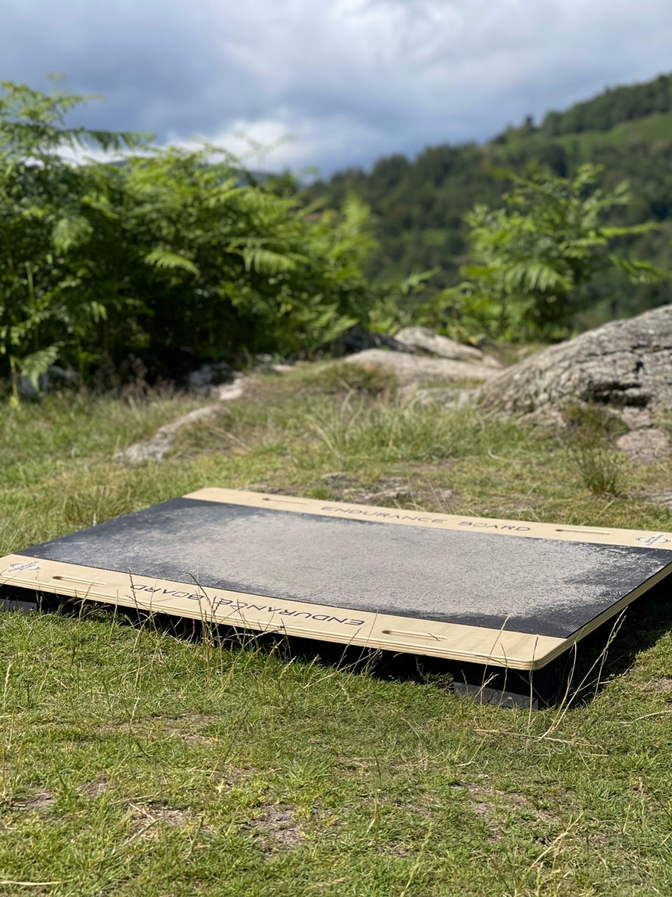 Endurance Board